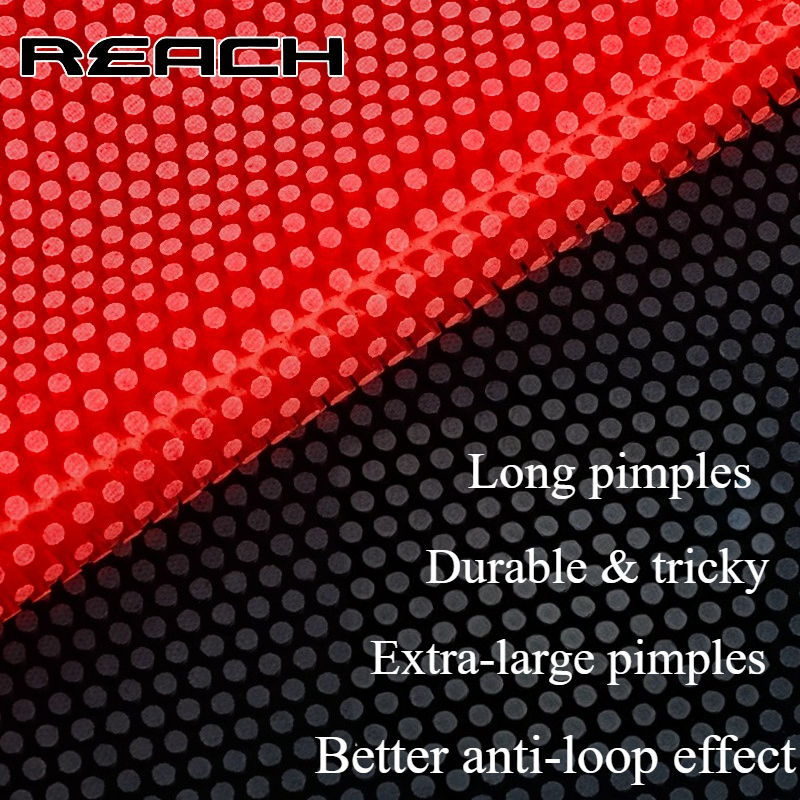 Reach C-8 C-801 Table-tennis R - Board Game Table ulasan dan harga