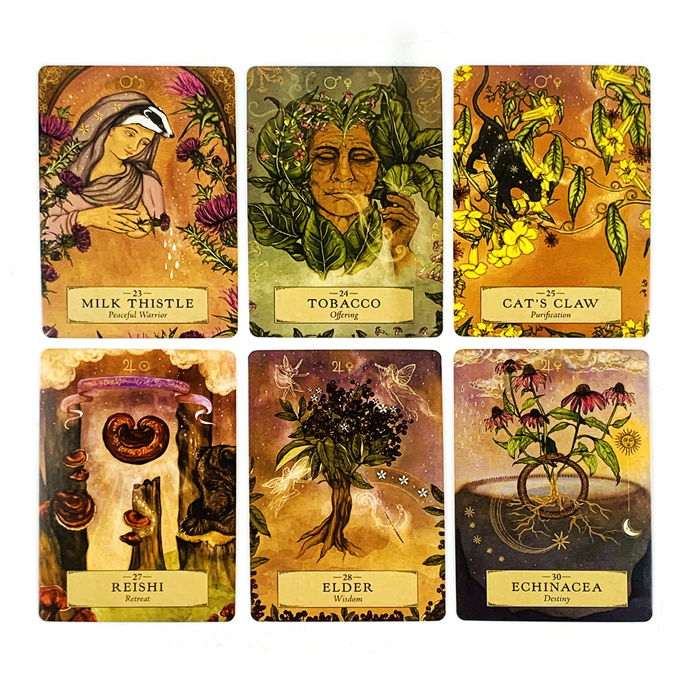 Oracle Deck A 55 Cards Family  - Board Game Illustration ulasan dan harga